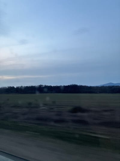 The image depicts a rural landscape near the city of Gabarevo, Bulgaria, observed from a moving perspective, indicated by motion blur in the lower foreground. The upper portion displays a pale blue-grey sky with diffuse, horizontal cloud formations. A dense, dark treeline spans the mid-distance, separating the sky from an expansive, flat, green-brown field below. Faint linear patterns are present within the field, suggesting agricultural activity. Distant, indistinct mountains are visible on the far right horizon, behind the treeline. The scene is illuminated by subdued natural light. No individuals, animals, or prominent man-made structures are discernible within the frame.