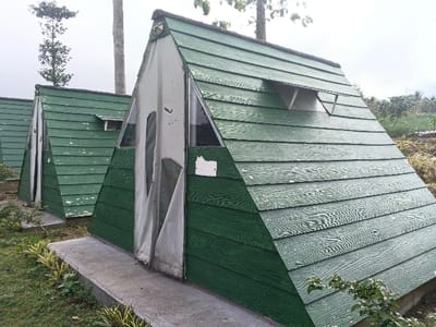 The image depicts three A-frame structures arranged in a receding line, situated outdoors in what appears to be a resort or glamping area in Suối Đục, Vietnam, under an overcast sky. The foreground structure is a dark green A-frame unit with a textured, wood-grain exterior cladding. Its front facade is constructed from a light grey/white canvas or fabric, partially open, revealing an internal triangular space. Triangular clear panels are visible above the fabric entrance. A small, opened vent or window is located on the right-side roof panel of this structure. The structure rests on a concrete slab foundation, which is bordered by neatly planted small shrubs with variegated green and yellow leaves.
Behind the first structure, a second identical A-frame unit is visible, also green with a partially open light-colored fabric front and a similar roof vent. A third, partially obscured A-frame unit is visible further in the background. The ground immediately surrounding the structures is covered in green grass. In the background, tall, slender trees with sparse foliage pierce the grey sky. To the right of the structures, the terrain slopes upwards, revealing cultivated land or gardens with rows of plants. No individuals are present in the scene.