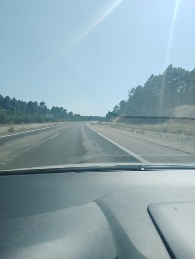 The image is a forward-facing perspective from inside a vehicle on a highway, likely in or near Fuentenava de Jábaga, Spain, given the surrounding landscape. The highway has multiple lanes with clear lane markings, indicating it is a well-maintained road. The road surface appears somewhat worn with some areas showing darker patches, possibly from recent rain or oil. On the right side of the road, there is a grassy embankment with dry vegetation and scattered trees. Further to the right, a dense line of pine trees forms a natural barrier against a clear, bright sky. The sky itself is a pale blue, with intense sun glare originating from the upper left quadrant of the image, creating light flares. On the left side of the highway, there is a concrete barrier separating the road from a strip of vegetation and then a larger wooded area. The interior of the vehicle is visible in the foreground, showing a dashboard area in a neutral gray tone. The overall scene depicts a sunny day on a highway, likely in a rural or semi-rural setting with extensive tree cover.