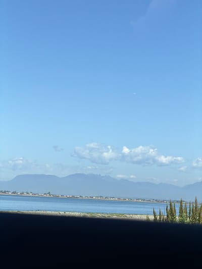 The image depicts a serene coastal landscape in Delta, Canada. The foreground is dominated by a dark, silhouetted area, possibly a shadow cast by an overhang or a vehicle. Beyond this, a narrow strip of shore is visible, composed of light-colored pebbles and sparse vegetation, including tall, dry grass-like plants on the right.

The midground features a body of calm, blue water, likely the Fraser River or Boundary Bay, separating the foreground from the distant shore. Along the far shoreline, a long line of shipping containers, mostly red and white, are arranged in a seemingly industrial setting, with some structures and trees interspersed. This industrial area stretches horizontally across the scene.

In the background, a range of majestic, hazy blue mountains forms a dramatic backdrop. The sky above is a clear, vibrant blue, with a few scattered, wispy white clouds. A faint, linear streak, possibly a contrail from an aircraft, is visible in the upper portion of the sky. The overall impression is one of a bright, clear day with a strong horizontal composition emphasized by the line of containers and the mountain range.