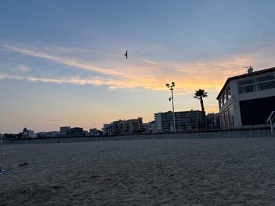 The image depicts a beach in Toulon, France, at dusk. The sky is a gradient of soft blues transitioning to warm oranges and yellows near the horizon, with wispy clouds. A solitary bird is captured in flight against the sky. In the midground, a row of buildings lines the promenade, with palm trees interspersed among them. A modern building with large windows and a dark garage door is situated on the right side of the frame. The foreground is dominated by a sandy beach, with subtle footprints and a few scattered objects, including beach towels. The overall scene conveys a sense of calm as day transitions into night.