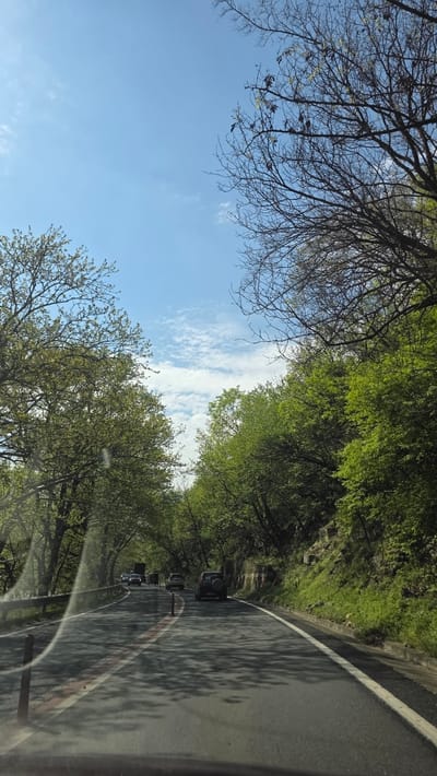 The image depicts a road near Stara Kresna, Bulgaria. The view is from inside a vehicle, looking forward down a two-lane road. Trees line both sides of the road, forming a canopy overhead. The sky is visible through gaps in the trees, showing blue sky and white clouds. Several cars are visible on the road ahead. The road markings include a solid white line on the edge of the road and red lines towards the center.