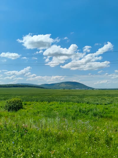 A wide, landscape photograph captures a vibrant green field under a bright blue sky dotted with fluffy white clouds. In the foreground, tall green grasses and wildflowers create a lush, textured carpet. A solitary, dense green bush stands to the left of the frame. In the middle ground, a vast expanse of green fields stretches towards a range of rolling hills covered in dense green forest. A cluster of buildings, appearing as a small village, is nestled at the base of the hills. The scene is bisected by several dark power lines stretching horizontally across the upper portion of the image, indicating the presence of infrastructure. The overall impression is one of a rural, natural landscape under a clear, sunny sky. This image was taken in Zabel'skoe, Russia.