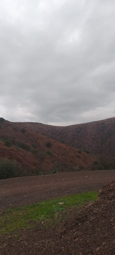 The scene depicts a rugged, unpopulated landscape located in Aïn El Aouda, Morocco. The upper two-fifths of the vertical frame is filled with a uniform, light grey, overcast sky. Below this, a series of reddish-brown, eroded hills with undulating slopes extends across the midground and background. These hills exhibit visible furrows and are sparsely dotted with small, dark green shrubs and bushes. The foreground, occupying the lower one-fifth, consists of a dark brown, gravelly dirt path. A strip of vibrant green grass runs along the left side of this path, while a mound of dark, rocky soil is visible on the far right. Several spiky, succulent-like plants are present in the transitional zone between the dirt path and the base of the hills. No individuals, animals, vehicles, or man-made structures are present within the frame.