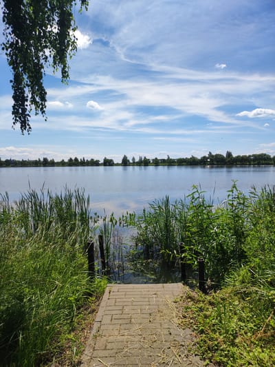 A tranquil scene unfolds by a body of water, likely a lake or pond, under a bright, partly cloudy sky. The foreground features lush green reeds and grass bordering a paved walkway that leads to the water's edge. Two dark, cylindrical posts stand partially submerged in the shallow water, marking the entrance to the walkway. Across the water, a line of trees forms a natural horizon, beyond which hints of buildings and more trees are visible. The water's surface is calm, reflecting the sky and distant trees. The overall impression is one of peaceful natural beauty, typical of a rural area. The scene is devoid of any people or visible activity, emphasizing the serene and natural state of the location within the Квасоўскі сельскі Савет, Belarus.