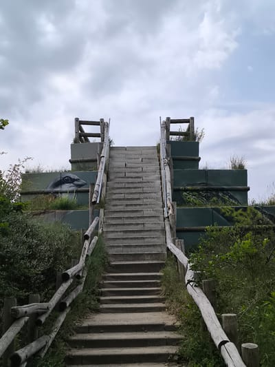 A full shot depicts a set of concrete stairs leading up to an elevated structure in Zandvoort, Netherlands. The stairs are flanked by weathered wooden railings on either side. The elevated structure consists of tiered, green-painted concrete blocks adorned with wildlife murals – a bird's head on the lower tier and a reptile on the upper tier. Patches of grass sprout from the top of the blocks. Lush greenery and vegetation border the stairs, adding to the natural setting. The sky above is overcast with a mix of white and gray clouds.