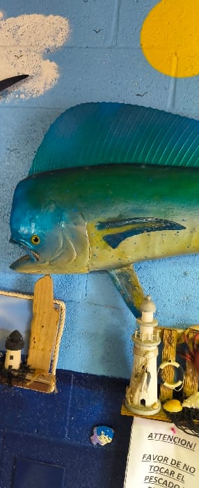 The image displays a detailed section of a wall exhibit located in Cutler Bay, United States of America. The background consists of a mural: the upper portion is painted light blue, representing a sky with white clouds and a yellow sun in the top right quadrant. The lower section of the wall is painted a darker blue. A large, realistic, artificial Mahi-Mahi (Dorado) fish, predominantly blue on its head and dorsal fin, transitioning to green and yellow with blue markings on its body, is mounted horizontally across the central part of the wall. Its mouth is open, exposing teeth, and its eye is yellow with a dark pupil. Below the fish, two miniature lighthouse figurines are displayed: a dark-colored one on the left, attached to a wooden board with rope, and a larger white lighthouse on the right. Adjacent to the white lighthouse, a small yellow life preserver and black netting are visible. Partially visible below the right lighthouse is a white paper sign with black text, reading "ATTENCION!" (Attention!) and "FAVOR DE NO TOCAR EL PESCADO" (Please do not touch the fish), indicating a prohibition. A small, colorful figurine, depicting a character with blue hair and a purple scarf, is affixed to the darker blue wall section below the fish.