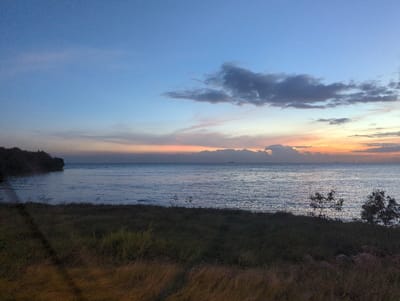 The image displays a coastal scene at dusk in Port of Spain, Trinidad and Tobago, likely viewed from the shoreline facing the Gulf of Paria. The foreground features a strip of unkempt land covered in dark green and dried brown grasses, with two small, dark green bushes visible on the right. A faint, dark diagonal line crosses the lower-left quadrant. The midground consists of a calm body of water, reflecting the twilight sky and showing subtle surface ripples. On the far left, a dark, vegetated landmass or headland extends into the water. The sky, which occupies the upper half of the image, exhibits a gradient transitioning from deep blue overhead, through lighter blues, to orange, pink, and yellow hues near the horizon, indicative of a sunset. Several distant vessels are discernible as dark silhouettes on the horizon line across the water. Scattered grey cloud formations are present, with a more substantial, darker cloud centrally located in the upper sky. No individuals or specific actions are visible within the frame.