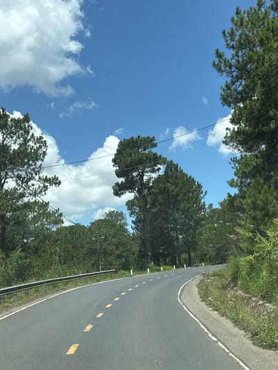The image depicts a winding asphalt road bordered by a metal guardrail on the left and a grassy, slightly sloped embankment on the right. Yellow dashed lines are painted on the road to mark the lanes. Dense green trees, primarily pines, line both sides of the road, with a few taller, more mature trees interspersed amongst them. The sky above is a vibrant blue, dotted with fluffy white clouds. In the background, the trees continue to dominate the landscape, creating a sense of being in a natural, possibly mountainous or hilly, environment. The scene suggests a tranquil drive through a forested area. There are no people or vehicles visible in the image. The location is specified as Thôn 6, Vietnam.