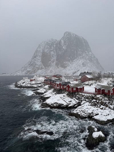 The image presents a panoramic view of a snow-covered coastal village in Hamnøya, Norway, during winter. A dominant, rugged, snow-capped mountain range rises in the background under a uniformly grey, overcast sky. Along the rocky shoreline, numerous red wooden houses, characterized by dark roofs and white window frames, are clustered. Many of these structures are built on wooden stilts over the dark, turbulent ocean water or directly on the snow-covered rocks. Some white buildings are interspersed among the red ones further inland. Bare wooden racks, consistent with fish drying structures, are visible on the snowy ground behind the waterfront houses. The dark blue-grey ocean exhibits white foam as waves break against the snow-dusted, jagged rocks of the coastline. No individuals, vehicles, or active elements are discernible in the scene.