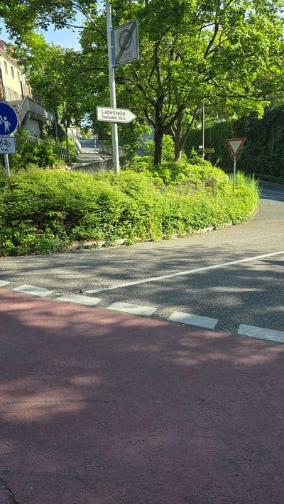The image captures a roadside scene in Zirndorf, Germany. A red-paved bike path occupies the right side of the frame. Adjacent to the bike path is a grey asphalt road, demarcated by a solid white line with intermittent white dashed lines on either side. To the left of the road, a patch of greenery and foliage runs along the roadside. Signposts are visible amidst the foliage, one with the text "Ladenzeile Saarladstr. 100 m". Trees and surrounding buildings are also present in the background.