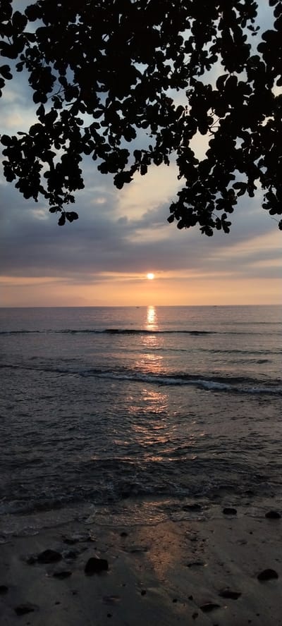 The image depicts a serene sunset over the ocean in Senggigi, Indonesia. The foreground is dominated by a dark silhouette of tree branches with leaves, framing the scene from the top. Below, the calm ocean stretches towards the horizon, reflecting the golden hues of the setting sun. Gentle waves lap at the sandy shore, which is scattered with dark pebbles. Two small boats are visible in the distance on the water. The sky is a blend of soft grays, blues, and oranges, with the sun a bright orb just above the horizon, casting a shimmering path across the sea. The overall atmosphere is peaceful and tranquil, capturing a quintessential Indonesian coastal sunset.