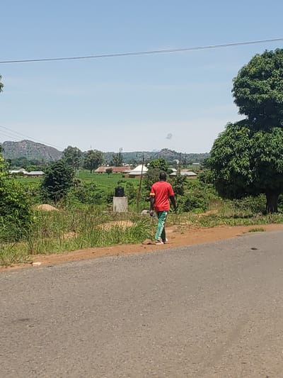 A man wearing a red shirt and green and white striped pants walks away from the camera on a dirt road in Mangu, Nigeria. He is on the right side of the road, with lush green vegetation on his left and a paved road on his right. In the background, there are several small buildings with red roofs, rolling hills, and a large tree. The sky is clear and blue.