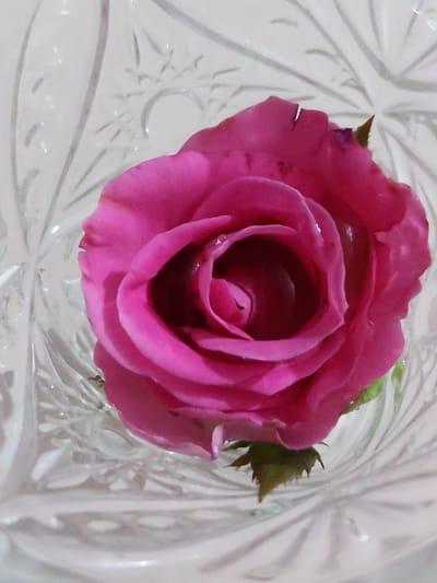 A close-up, top-down view captures a single pink rose blooming in a clear glass vase. The rose is the central focus, with its velvety petals unfurling in a spiral pattern. Dewdrops glisten on its surface, adding a delicate sparkle. The textured glass vase features an intricate, etched pattern of radiating lines and starbursts, which refracts the light and creates a soft, diffused background. The overall impression is one of simple elegance and natural beauty. The scene is not located in a specific city, but rather in a natural setting.