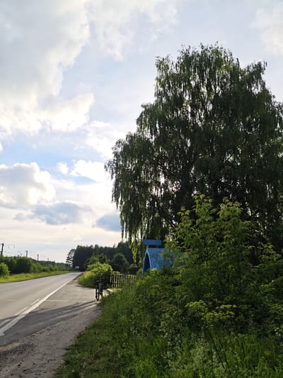 An image taken outdoors shows a paved road running alongside a grassy verge. A bicycle is parked on the verge next to a wooden fence. Behind the fence, a large tree with drooping branches dominates the scene, with a small blue structure partially visible behind it. In the background, a dense line of trees stretches across the horizon, and power lines with tall poles are visible on the left side of the road. The sky is filled with fluffy white clouds against a pale blue backdrop. The scene appears to be in a rural or semi-rural area.