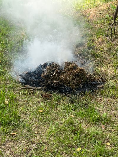 A pile of burning dried grass and leaves emits a thick cloud of white smoke, obscuring the background. The fire is situated on the ground amidst green grass and dry debris. A pitchfork is partially visible in the upper right corner. The scene appears to be outdoors, possibly in a rural or park-like setting. The lighting suggests daytime. The location is identified as Бабініцкі сельскі Савет, Belarus.