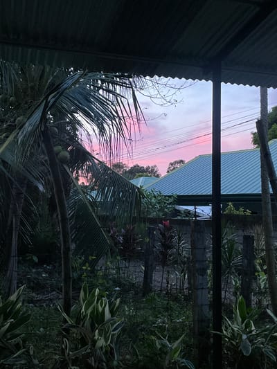 The image depicts an outdoor scene at dusk, likely in Bacong, Philippines, featuring a twilight sky with soft pink and purple hues. In the foreground, a dark, corrugated roof overhang is visible, obscuring the top portion of the scene. Below the overhang, a coconut tree with green coconuts is prominent on the left, its fronds extending across the frame.

The middle ground shows a residential area with two houses featuring teal-colored, corrugated metal roofs. A wire fence runs horizontally across the image, separating the foreground from the background. Various plants, including some with variegated leaves and dark red foliage, are visible behind the fence. Utility wires are strung across the sky above the houses.

The background consists of trees and the twilight sky. The lighting suggests either early morning or late evening. There are no people or discernible animals in the image. The overall impression is one of a peaceful, rural or semi-rural domestic setting during twilight.