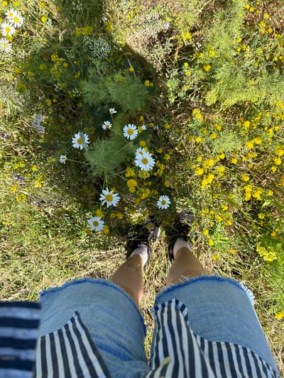 An overhead shot shows a person standing in a field of wildflowers near Krasnyi Yar, Russia. The person is wearing denim shorts and a striped shirt. The field is abundant with yellow and white flowers, interspersed with green foliage. Sunlight casts shadows across the ground, indicating it is daytime. The scene is natural and unpopulated, focusing on the interaction between the person and the floral landscape.