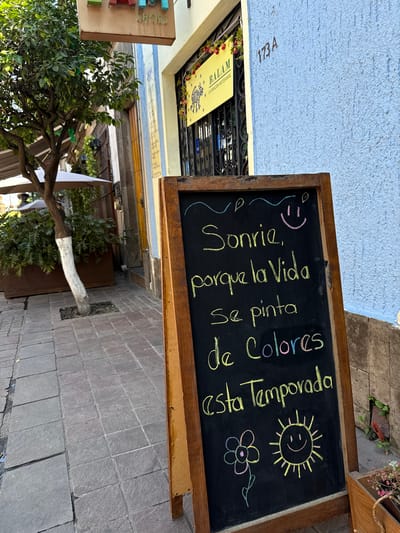 The image displays a daylight street scene in Tlaquepaque, Mexico. In the foreground, a dark brown wooden A-frame chalkboard sign stands on a sidewalk paved with square gray stone tiles. The black chalkboard surface features text and illustrations rendered in yellow, pink, green, and light blue chalk. The primary message reads: "Sonrie, porque la Vida se pinta de Colores esta Temporada" (Smile, because Life paints itself with Colors this Season). The sign also includes a pink smiley face, wavy lines, leaf-like shapes at the top, and a multicolored flower and a yellow sun with a smiley face at the bottom.
To the right of the chalkboard, a building facade exhibits a light blue textured stucco finish with the address "173A" affixed to it. Behind the chalkboard, a storefront is visible, featuring a black ornate metal gate adorned with red floral decorations. Above this gate, a yellow sign reads "BALAM LA IMAGEN ARTESANAL."
To the left, a small tree with green leaves grows from a square cutout in the sidewalk; its lower trunk is painted white. Behind this tree, a large rectangular planter box contains dense green foliage. A white outdoor umbrella and a dark, possibly statuette, figure are partially visible behind the planter, suggesting an outdoor seating arrangement. A metallic brown hanging sign, partially obscured, shows the word "SHOES" above the tree. A small wooden box containing decorative plants is situated on the ground next to the chalkboard sign on the far right. No individuals are visible in the scene.