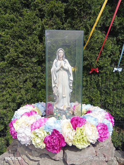 A statue of the Virgin Mary stands behind a glass enclosure, adorned with a circle of large, colorful artificial flowers in shades of pink, white, yellow, and light blue. The statue is on a stone pedestal. Behind the statue, a dense green hedge forms the backdrop. Red, yellow, and blue ribbons are tied to the hedge, with red and white bows visible. The image also shows a chain-link fence behind the hedge. A timestamp in the lower right corner reads "09.06.2026 09:53" and a watermark in the lower left reads "POCO C75". The scene is outdoors and appears to be in Wilczyce, Poland.