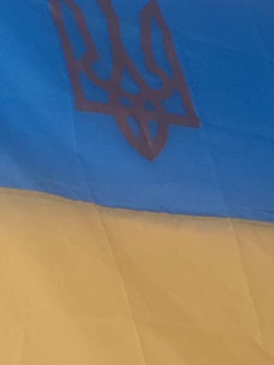 A close-up, low-angle shot of the Ukrainian flag, predominantly featuring the blue top half and a portion of the yellow bottom half. A dark brown trident emblem is centered on the blue section. The fabric appears to be slightly creased and illuminated by artificial light. The image does not contain any discernable features of the city of Torquay, United Kingdom.