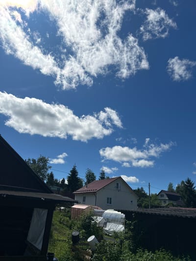 The image shows a bright, sunny day with a clear blue sky filled with white, fluffy clouds. The scene is set in a rural area, likely Novozhilovo, Russia, with several houses and outbuildings visible. In the foreground on the left, a dark, wooden structure with a sloping roof takes up a significant portion of the frame. To the right of this structure, a lighter-colored house with a red roof stands, featuring windows and a second story. Further in the background, more houses and dense green trees are visible. There are also several greenhouses or hoop houses, covered with translucent material, scattered throughout the yard. The ground is covered with green grass and some overgrown vegetation. Two buckets, one white and one black, are placed on a wooden fence in the mid-ground. The overall impression is of a residential property in a suburban or rural setting on a pleasant summer day.