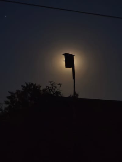 A silhouetted birdhouse on a pole is visible against a dimly lit sky, possibly at dusk or dawn. The birdhouse is dark and rectangular with a sloped roof and a small opening. It is mounted on a tall, slender pole. In the foreground, the dark silhouette of trees and a rooftop are visible. A faint, hazy glow surrounds the birdhouse, suggesting a light source such as the moon or a street lamp. A thin dark line, likely a power line, is visible across the top of the image. The image appears to be taken in a rural or suburban area, given the presence of trees and the birdhouse.