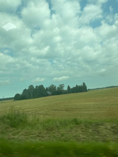 The image depicts a rural landscape under a cloudy sky. The foreground is dominated by blurred green grass, suggesting motion, possibly from a vehicle. Beyond the grass is a vast, golden field, appearing to be recently harvested or fallow. A line of dense green trees forms a treeline in the middle ground, with a small, red-roofed building nestled among them. In the distance, the land rolls gently, and more trees are visible on the horizon. The sky is filled with white and grey clouds, interspersed with patches of blue. The overall impression is one of a peaceful, bucolic setting in the countryside. The location is specified as Ilmatsalu, Estonia.