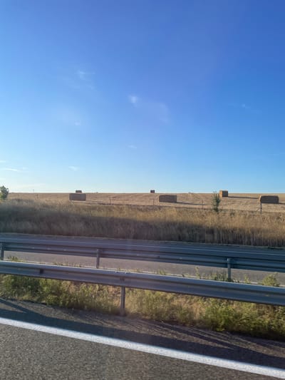 In the image, taken from a roadside perspective, a vast, dry, golden field stretches across the horizon, dotted with several rectangular bales of hay. A low metal guardrail separates the road from the field, with dry grass and a few sparse green plants growing along its edge. The sky above is a clear, bright blue with a few wispy white clouds. The scene appears to be set in a rural, agricultural area, likely during harvest season. The location is identified as Gottesheim, France. There are no people or animals visible in the image. The lighting suggests it is daytime, with the sun casting shadows.