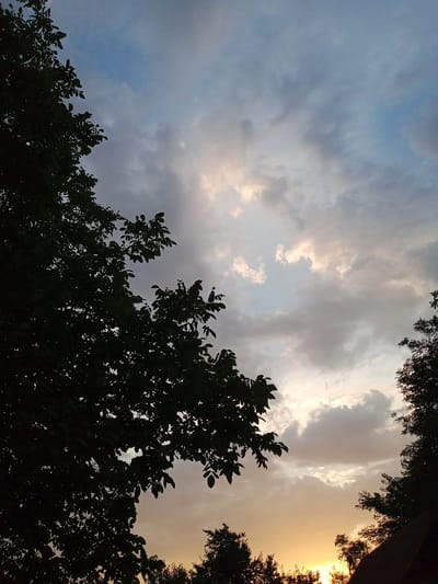 The image shows a silhouetted view of trees against a cloudy sky at sunset. The sky transitions from a pale blue at the top to soft oranges and yellows near the horizon, illuminated by the setting sun. Clouds are scattered across the sky, some appearing dark and heavy, while others are lighter and tinged with the colors of the sunset. The branches and leaves of several trees are visible in silhouette along the left and right edges of the frame, as well as across the bottom, obscuring parts of the sky. The scene evokes a sense of calm and the end of the day. The location is Beşik-Jon, Kyrgyzstan.