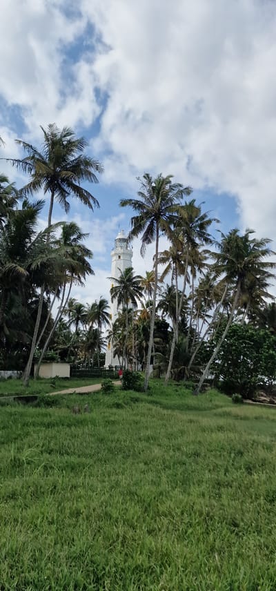 The image shows Dondra Head Lighthouse, Sri Lanka, as seen through a grove of palm trees. The lighthouse is a white cylindrical tower with a glass-enclosed lantern room. The sky is blue with scattered white clouds. The foreground is lush green grass.