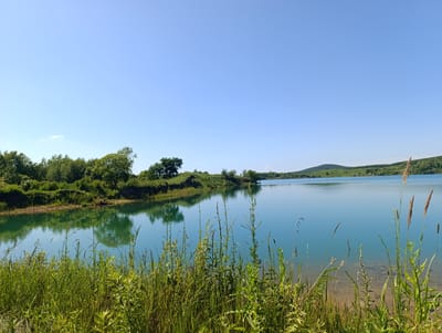 The image depicts a serene natural landscape with a clear blue sky dominating the upper portion. A tranquil body of water, likely a lake or reservoir, occupies the majority of the frame, reflecting the sky and surrounding vegetation. The water is a striking turquoise hue, suggesting clarity and perhaps mineral content.
Along the left bank, lush green trees and shrubs form a dense line, their reflections visible on the water's surface. The terrain appears somewhat uneven, with mounds and slopes covered in vegetation. In the foreground, tall grasses and reeds grow along the water's edge, adding a sense of wildness to the scene. The right bank of the waterbody is further away and appears as rolling hills covered in greenery.
The lighting suggests a bright, sunny day, with no visible shadows indicating the sun's position. There are no people or man-made structures immediately apparent in the scene, emphasizing its natural and undisturbed state. The overall atmosphere is peaceful and idyllic.