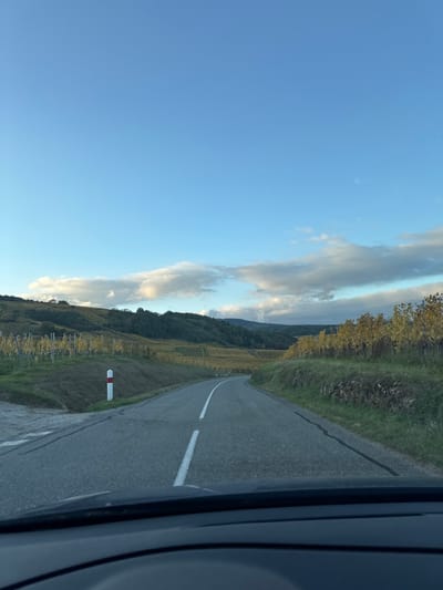 The image depicts a rural road cutting through vineyard-covered hills in Blienschwiller, France, viewed from inside a vehicle. The asphalt road, marked with a solid white centerline, curves gently to the right as it extends into the mid-ground. On the left side of the road, a white and red kilometer marker post stands on a grassy verge, adjacent to a small, unpaved pull-off or junction. Beyond this, terraced vineyards with pale yellow-gold foliage ascend the rolling hills. Dark green trees crest some of these hills and are visible in the distant background. On the right side of the road, similar vineyards with autumn-colored foliage are immediately adjacent to the grassy shoulder. The upper two-thirds of the frame consist of a clear blue sky with scattered cumulus clouds, some illuminated by soft sunlight. The dark dashboard of the vehicle from which the photograph was taken is visible along the bottom edge of the image. No individuals or active subjects are present.