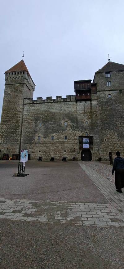 This image shows a side view of the imposing stone walls and towers of Kuressaare Castle in Estonia. The castle is constructed of large, rough-hewn stone blocks, with battlements visible along the top of the main wall and one of the towers. Several small windows are scattered across the stone facade. A wooden structure juts out from the upper part of the wall, featuring a series of openings.
In the foreground, a paved courtyard leads up to the castle entrance. The paving consists of a mixture of asphalt and light-colored rectangular stones. The sky above is overcast, suggesting a cloudy or possibly rainy day, with no direct sunlight visible.
Several black, cannon-like objects are placed on the ground along the castle wall. A dark figure of a person can be seen standing on the paved area to the right, near the castle entrance, facing away from the camera. In the courtyard, a signpost with informational displays is erected, featuring maps and text, though the details are not clearly legible. The overall scene conveys a sense of historical grandeur and a somber, possibly cool, atmosphere due to the overcast weather.