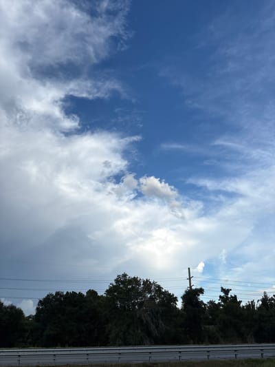 The image captures a view of the sky and a treeline. The sky is a mix of bright blue and white clouds, with some wispy clouds scattered across the blue expanse. The treeline consists of dense, dark green foliage, suggesting a natural or undeveloped area. Several power lines are visible running horizontally across the scene, supported by utility poles. In the foreground, a grey barrier, likely a guardrail, runs along what appears to be a road or highway. The overall impression is a landscape scene, possibly taken from the side of a road, with a focus on the sky and natural elements. The image does not depict any people or specific city landmarks of Sarasota, United States.
