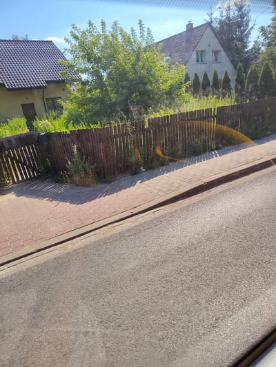 This media file captures a street-level view of a residential area on a sunny day in Jaworowa, Poland. The scene is dominated by a weathered wooden fence that runs along the edge of a sidewalk paved with red bricks. Beyond the fence, lush green vegetation grows, interspersed with tall trees and two houses.
To the left, a light-yellow house with a dark-tiled roof and a brown door is visible. Further to the right, a larger, light-colored house with a steeply pitched roof and two prominent windows stands. Numerous evergreen trees, possibly cypresses, are planted in a row behind the fence in front of this house, creating a natural boundary. The sky above is a clear blue with a few wispy clouds.
The sun is shining brightly, casting distinct shadows from the fence onto the sidewalk, indicating it is likely daytime, possibly late morning or early afternoon given the angle of the light. The overall atmosphere appears peaceful and serene, reflecting a typical suburban setting. There is no visible text in the image. The presence of a sidewalk and a road suggests a public thoroughfare.