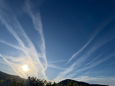 This is a wide-angle, eye-level, outdoor, daytime photograph taken in Flemlingen, Germany, likely during the late afternoon or early evening due to the low angle of the sun. The scene is dominated by a deep blue sky filled with numerous white contrails, suggesting significant air traffic. The sun, partially obscured by clouds and contrails, shines brightly in the lower left quadrant, casting a warm glow on the sky. In the foreground, silhouetted against the sky and the sun, are the dark green leaves of a vineyard, with rolling hills forming the horizon line. The image captures a moment of natural beauty punctuated by the man-made atmospheric phenomena of contrails.
