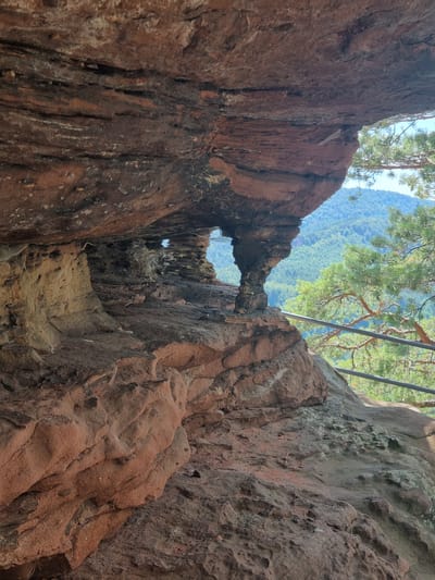 The image depicts a dramatic natural rock formation in Dahn, Germany, characterized by towering sandstone cliffs. The perspective is looking upwards and through a narrow chasm between these cliffs, revealing a natural rock archway in the distance. Sunlight filters through the arch, illuminating the rugged texture of the rock. Lush green foliage, including pine branches, cascades from above, contrasting with the reddish-brown hues of the sandstone. A metal railing is visible at the top, suggesting a viewpoint or a safety feature for visitors. The scene evokes a sense of awe and wonder at the geological formations and the interplay of light and shadow. The sky is clear and blue, indicating fair weather, and the time of day appears to be daytime, likely late morning or early afternoon given the angle of the sunlight. The overall setting is a natural park or hiking area renowned for its unique rock landscapes. There is no visible text in the image.