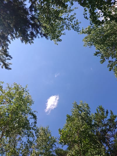 The image shows a view looking up towards a clear blue sky through the tops of trees. The trees appear to be a mix of deciduous and coniferous species, with lush green foliage and dark needles respectively. Sunlight filters through the leaves, creating a dappled effect. A few wispy white clouds are scattered across the sky. The scene depicts a natural outdoor environment, likely a park or forest area. The provided location, Лобаново ауылдық округі, Kazakhstan, suggests this image was taken in a rural or semi-rural setting within Kazakhstan. There are no people or specific man-made objects visible in the frame.