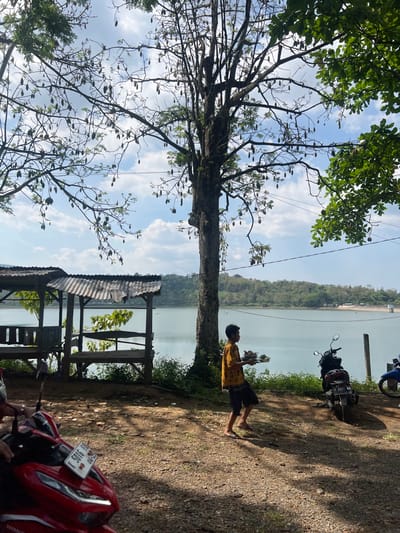 The scene depicts a lakeside area in Gembong, Indonesia, under a partially cloudy daytime sky. The foreground consists of unpaved dirt and gravel. On the far left, a portion of a red Honda scooter, license plate X 5016 RA 06-25, is visible. To its right, two open-air wooden shelters with corrugated metal roofs stand by the water's edge. A tall, prominent deciduous tree, adorned with numerous dark, elongated pods, occupies the center. A male individual, barefoot, dressed in a yellow patterned shirt and dark shorts, walks from left to right in the mid-ground, carrying two stacked plates of food topped with green leaves. To the right of the walking individual, a dark-colored scooter, license plate Y 2432 RK, is parked facing left, with a partial view of a blue scooter behind it. A large, calm body of light blue-green water extends across the mid-ground to the background, bordered by distant, tree-covered hills. Overhead, two thin dark lines, likely utility wires, traverse the sky. Green foliage from other trees is visible on the far right.