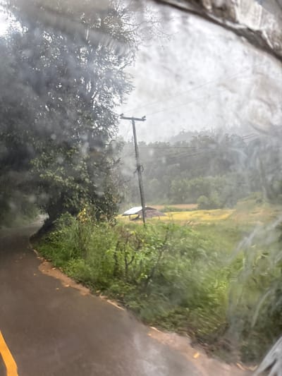 An external view from inside a vehicle on a wet, curving asphalt road in Ban Paem Bok, Thailand, under overcast conditions. Rain droplets are visible on the transparent surface through which the image was captured. A dark gray road with a partial yellow double solid line curves sharply to the left in the lower-left quadrant. Dense green foliage and tall grasses line the right side of the road. Further into the midground, large green trees flank the road on the left. A wooden utility pole with attached wires stands vertically on the right side of the frame, positioned amidst the vegetation. Behind the pole and vegetation, a small, open-sided shelter with a dark, possibly thatched roof and lighter support posts is visible. Adjacent to this structure is a field of yellow-golden crops, indicative of agricultural land. The background features hills covered in dense green forests under a light gray, hazy sky. No individuals are present.