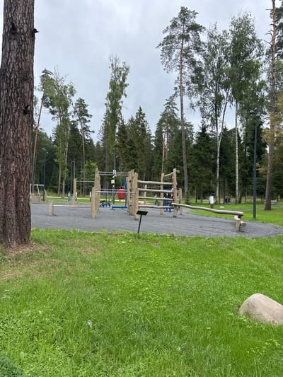 The image depicts an outdoor exercise area in Pavlovskaya Sloboda, Russia, characterized by a park setting with tall trees. The ground is covered with gravel, and the area is equipped with various wooden and metal exercise apparatus, including parallel bars, a balance beam, and a punching bag. Several individuals, including children and adults, are present, engaged in activities within the exercise zone. A large rock is visible in the foreground, amidst lush green grass. The sky is overcast, suggesting a cloudy day.