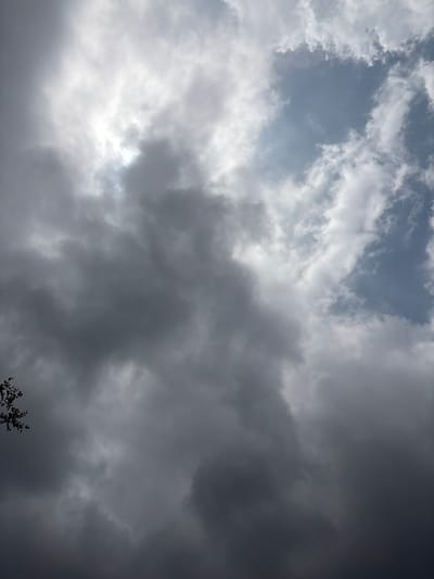 A low-angle, vertical shot captures a dynamic sky filled with a mixture of dark, heavy clouds and brighter, wispy formations. The sun is partially obscured by the clouds, creating a diffused, bright light source in the upper center of the frame. A small section of dark green foliage, likely a tree branch, is visible in the bottom left corner. The overall mood is atmospheric and somewhat dramatic, suggesting a changing weather pattern. The image was taken in Grapevine, Texas.