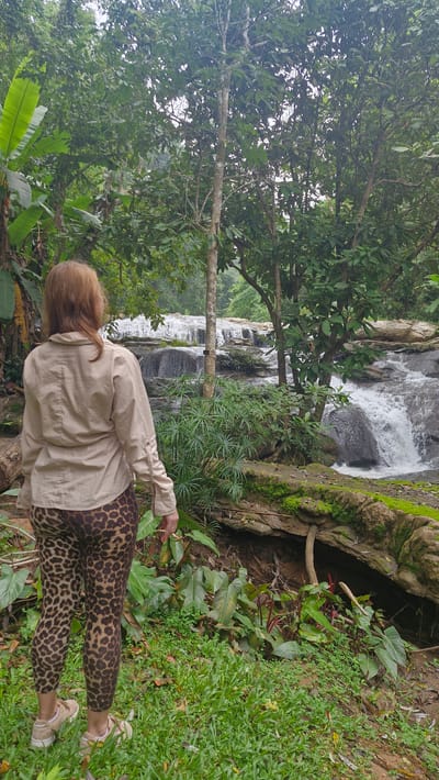 In a lush, tropical forest setting with a cascading waterfall in the background, a woman stands facing away from the camera, observing the scene. She has reddish-brown hair and is wearing a light beige button-up shirt and leopard-print leggings. Her right hand is extended slightly, almost touching a small plant. The environment is dense with greenery, including large leaves, moss-covered rocks, and trees. The waterfall flows over layered rocks into a pool below. The area appears to be part of the Mae Sa waterfall system, located near the village of Pong Yaeng in Thailand, an area known for its natural beauty and waterfalls.