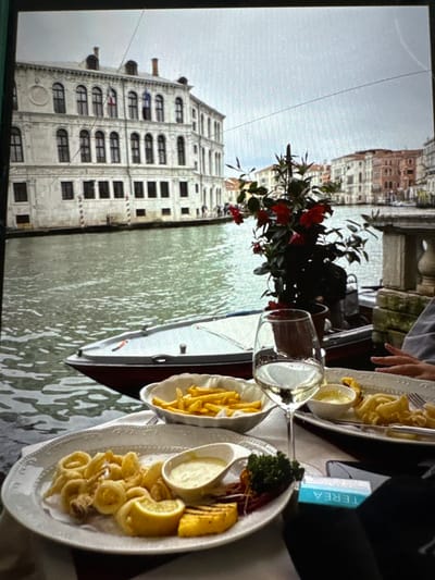 The image depicts an outdoor dining scene in the city of Kumanovo, North Macedonia, overlooking a canal. In the foreground, a table covered with a white patterned tablecloth displays two plates of fried calamari, each accompanied by lemon wedges, a piece of grilled polenta, and a small dish of white sauce. A bowl of french fries is also present. A wine glass containing white wine stands prominently, with another glass partially visible. A turquoise-blue pack of "TEREA" brand cigarettes and a dark smartphone rest on the table. Portions of two individuals' hands are visible, one holding a fork over food.

In the midground, a potted plant with green foliage and bright red flowers is positioned on the table's edge, next to a stone balustrade. A small, dark-hulled motorboat is partially visible on the canal, situated between the dining area and the opposite bank.

The background features a wide canal with rippling, greenish water. On the far bank, a large, ornate white building with multiple stories and numerous arched windows is prominent. Two flags hang from its upper windows: one displaying a red cross on a white field, and another showing vertical blue, white, and red stripes. Further along the canal, additional multi-story buildings with varied cream, ochre, and terracotta facades and tiled roofs line the waterway. The sky above is overcast.