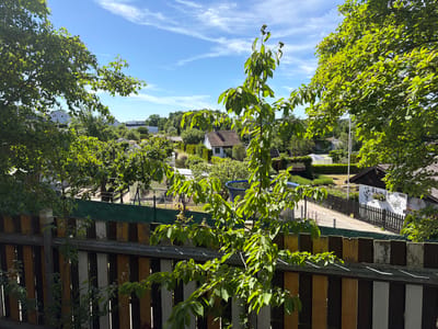 The image presents a view over a garden fence in Zirndorf, Germany. The fence is constructed of vertical wooden planks in alternating colors of brown, white, and yellow. A sapling tree, laden with bright green leaves, grows prominently in front of the fence. Beyond the fence, the scene unfolds to reveal a residential neighborhood dotted with houses and gardens. A white house with a dark roof is visible among the trees. The sky is blue with wisps of clouds scattered across it. Mature trees with dense foliage frame the view on either side of the sapling.