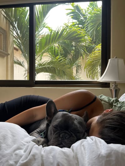 The image shows a woman and a dog sleeping together in a bed in a bedroom in Río Oro, Costa Rica. The woman is lying on her side with her head resting on a pillow. The dog, a French Bulldog, is lying on its side with its head resting on the woman's arm. The bed is covered in white sheets and pillows. The bedroom has a large window behind the bed, overlooking a view of green palm trees. A lamp is on a table to the right of the bed. The woman is wearing a black tank top and dark pants, while the dog is black and gray in color. The coordinates provided (latitude: 9.945, longitude: -84.201) correspond to a location within the city of Río Oro, Costa Rica.