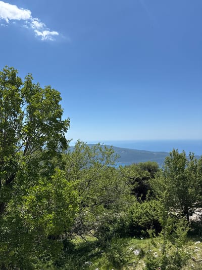 This is a landscape photograph taken on a clear, sunny day with a bright blue sky and a few wispy clouds. The foreground is dominated by lush green trees and vegetation, with some rocky terrain visible at the bottom. In the middle ground and background, a vast expanse of blue water, likely the sea, stretches out towards a distant coastline with hills. Power lines are visible across the distant landscape. The image appears to be taken from an elevated position, offering a panoramic view of the natural scenery. The location is identified as Žlijebi, Montenegro. There are no people or animals visible in the image.