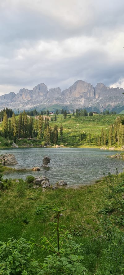 The image depicts a serene natural landscape at Karersee (Lago di Carezza), located in Welschnofen - Nova Levante, Italy. In the foreground, lush green grass and a small evergreen sapling frame the scene. A body of clear, rippling water, the lake, dominates the midground. Several large rocks are visible, some emerging from the water and others on the shoreline. One distinctive rock formation stands tall and slender in the center of the lake. The far bank of the lake is lined with a dense forest of tall evergreen trees. Beyond the trees, rolling green hills stretch upwards, dotted with scattered houses. The background is characterized by a dramatic mountain range with jagged, imposing peaks under a cloudy sky. The overall atmosphere is one of tranquility and natural beauty. There are no people or animals visible in the image.