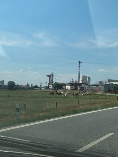 The image captures a rural industrial landscape under a bright blue sky with scattered clouds, likely taken from a moving vehicle on a road. In the foreground, a section of asphalt road with white markings is visible, suggesting it's a highway or major road. Beyond the road, a grassy field stretches out, dotted with several wooden fence posts and at least two cows grazing.
In the middle ground, a cluster of industrial buildings is situated, featuring varied architectural styles. Most prominent among these is a tall, cylindrical water tower with red and white banding, topped by a structure with ladders and railings, and a smaller white building adjacent to it. To the left and right of the water tower are other industrial structures, including warehouses with large bay doors and silos. A single tall power pylon with wires extending from it is positioned between the road and the industrial complex. A dark-colored car is parked near the industrial buildings.
The background reveals more industrial structures and a few trees. The overall impression is a semi-rural setting where agriculture coexists with industrial development. While the image does not explicitly show the town of Horažďovice, the presence of such industrial facilities suggests a location on the outskirts or in the vicinity of a populated area.